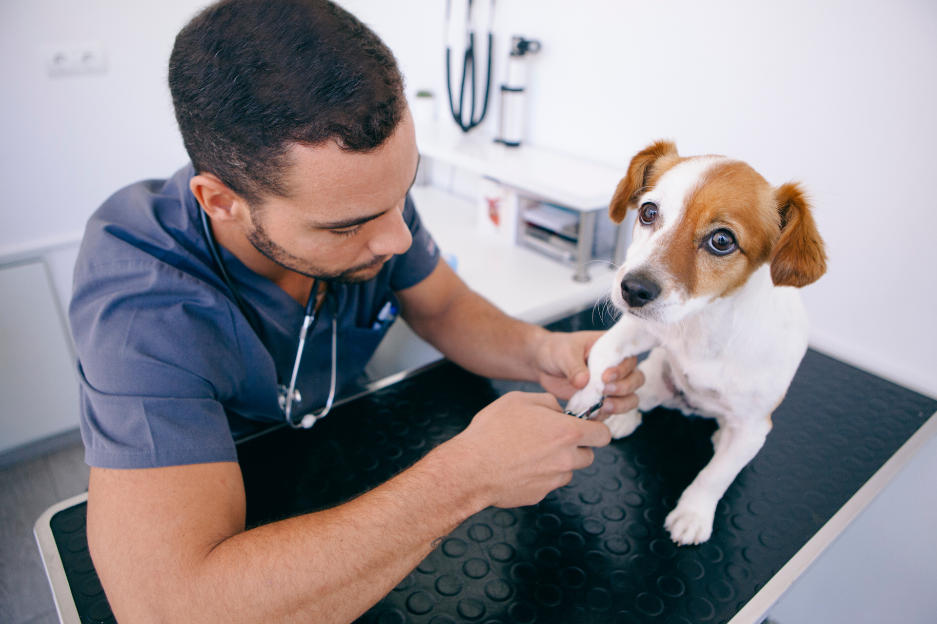 Nail trim procedure
