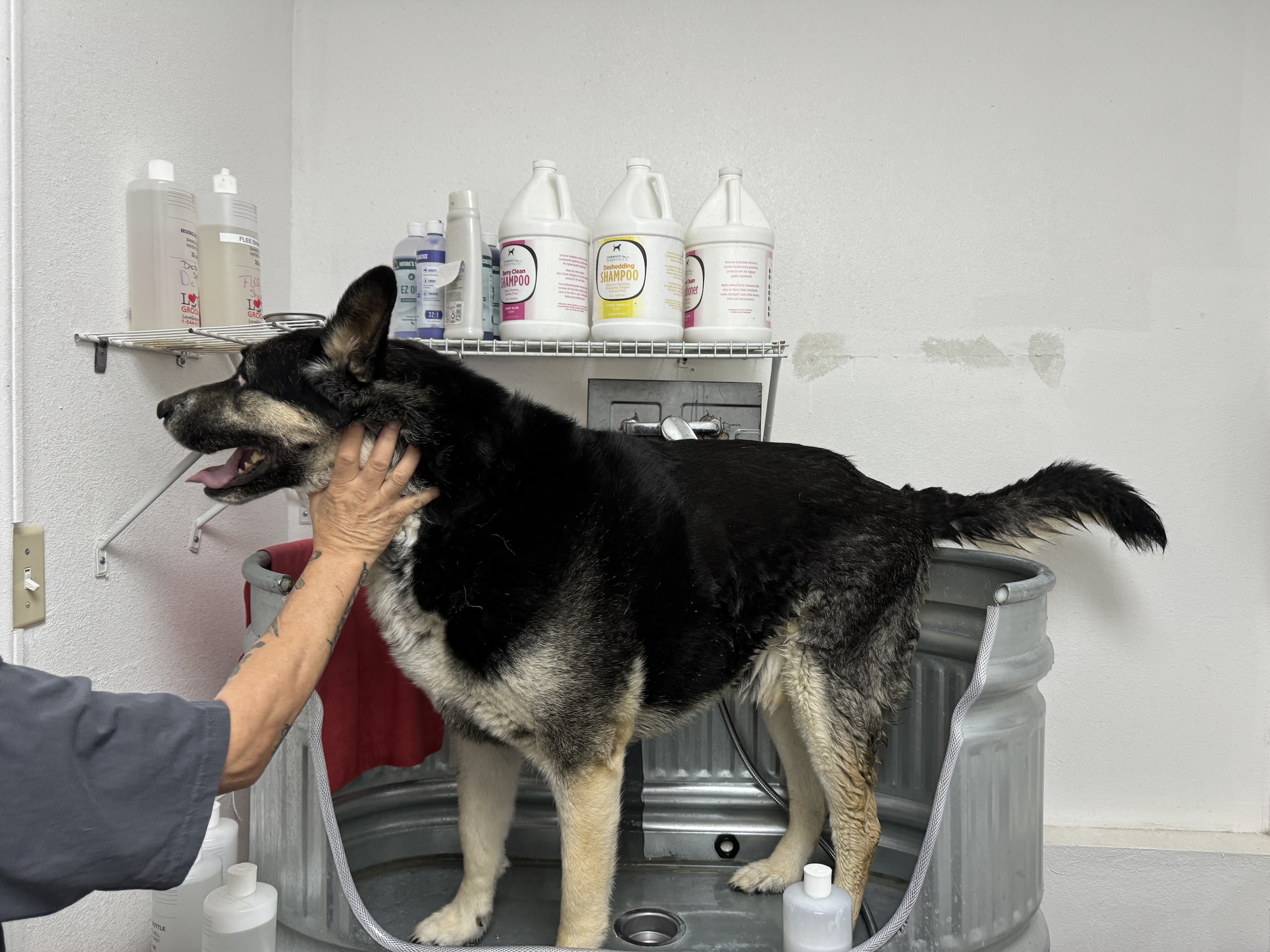 Ruff Cuts client