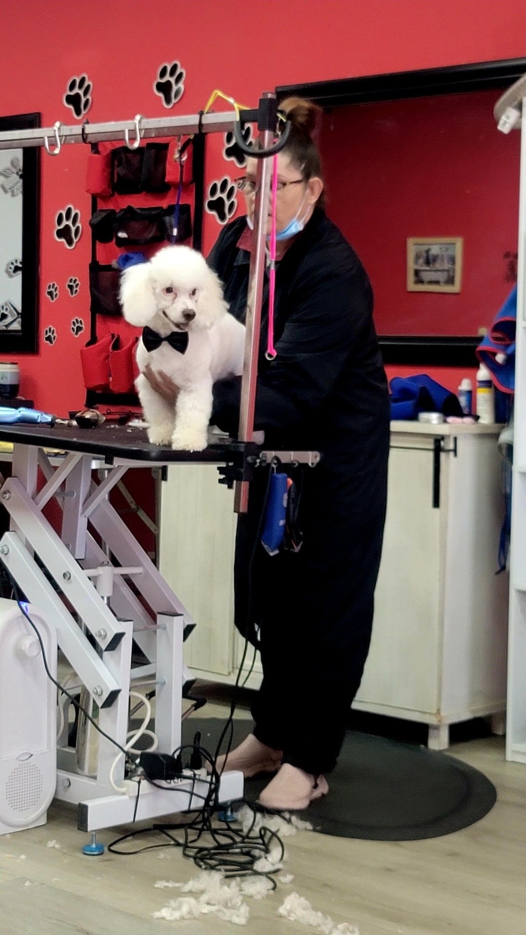 Full Service Grooming