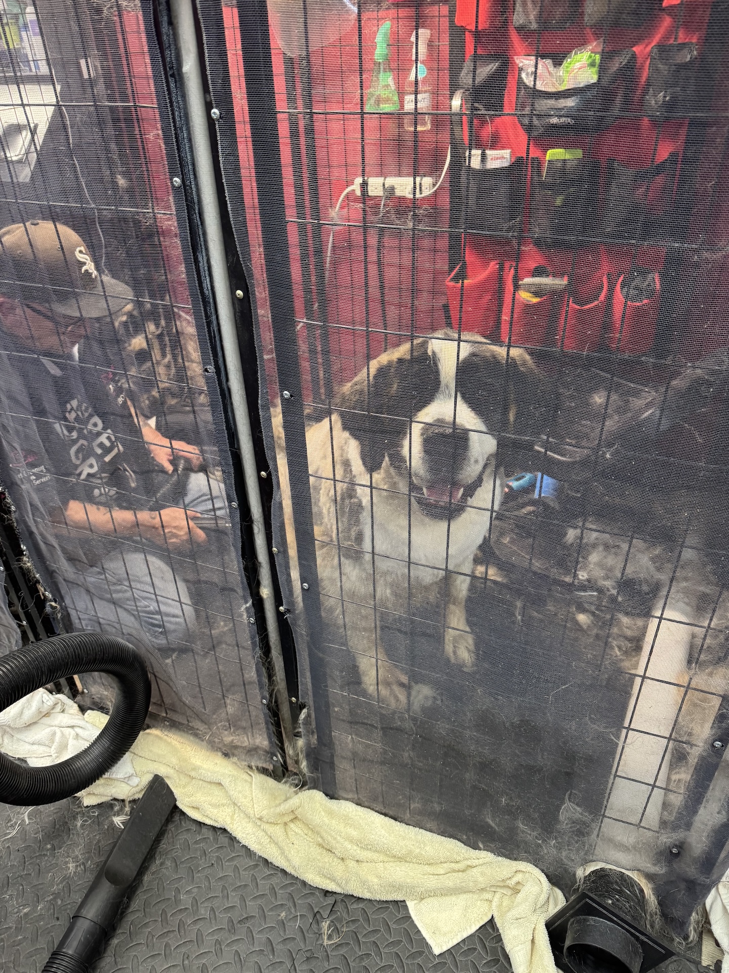 Kennel Boarding