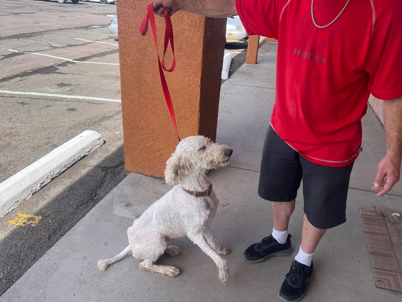Happy dog client